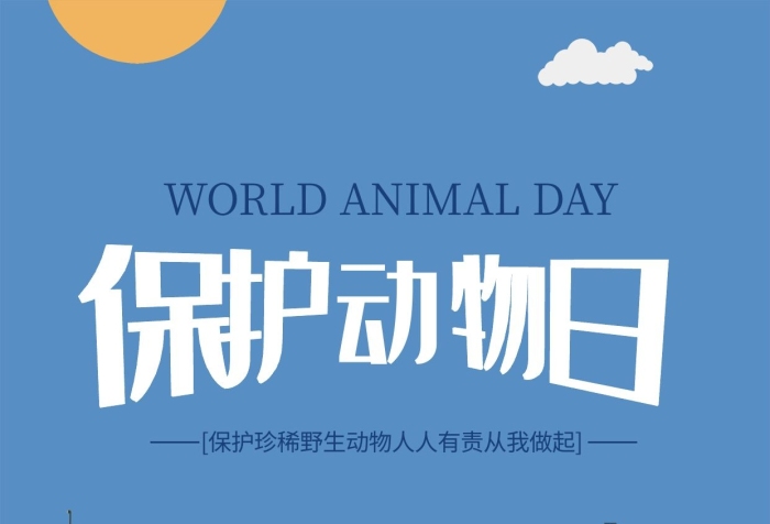 野生動物藍色卡通海洋清新海報
