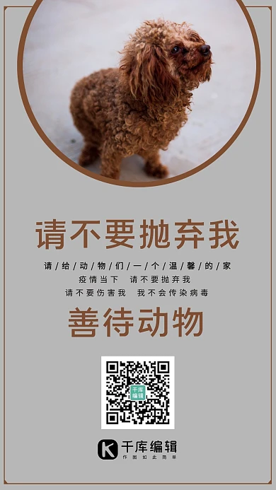 善待动物宠物狗泰迪狗灰色简约风海报