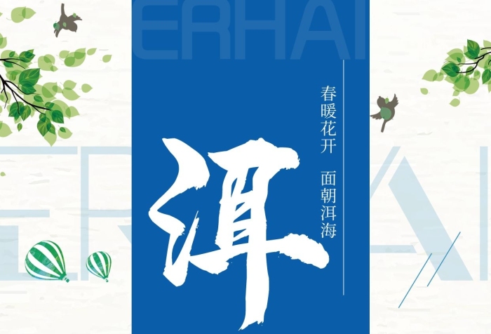 面朝時光旅行云南大理洱海宣傳海報
