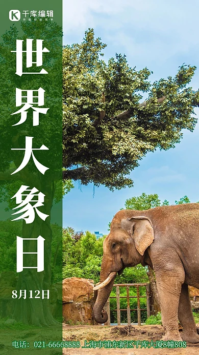世界大象日大象摄影绿色简约大气手机海报