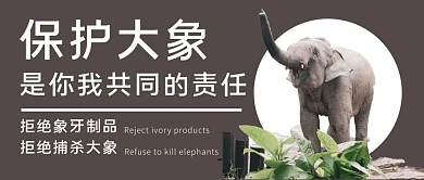 世界大象日大象棕色简约公众号主图