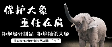 世界大象日大象黑色简约公众号首图