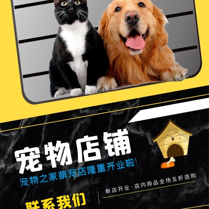 新店開業(yè)寵物店鋪背景拼色創(chuàng)意個(gè)性海報(bào)
