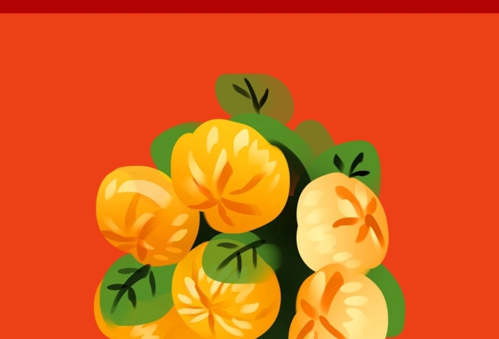 手機(jī)壁紙橘子樹(shù)盆栽紅色簡(jiǎn)約手
