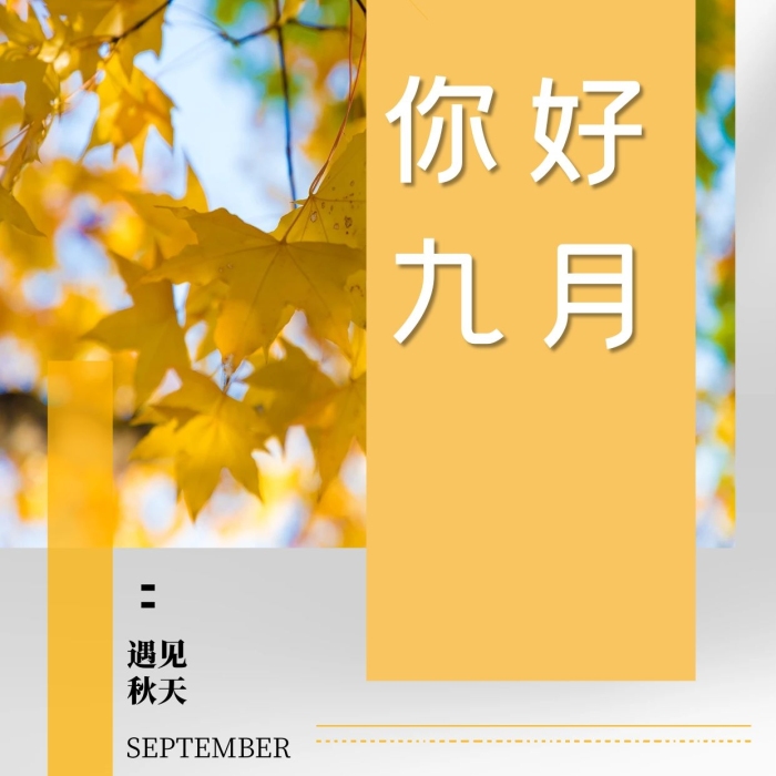 遇見秋天你好九月落葉金黃簡約風(fēng)海報
