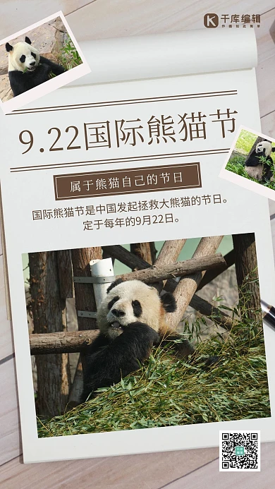 国际熊猫节摄影法国际熊猫节灰色摄影法手机海报