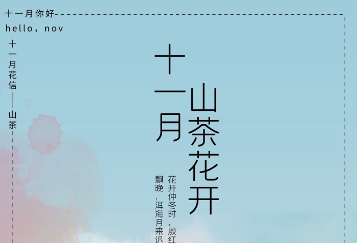 山茶風十一月花信山茶花海報
