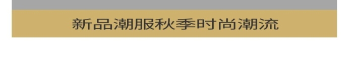 簡(jiǎn)約時(shí)尚橘色輕奢時(shí)尚詳情頁(yè)
