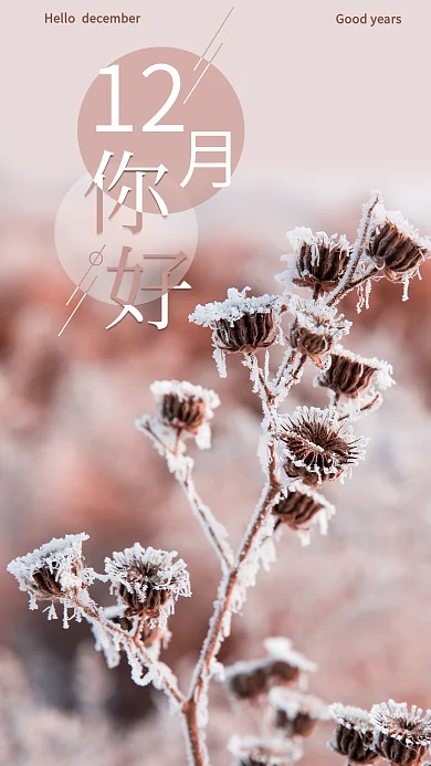 12月你好节日日签手机海报