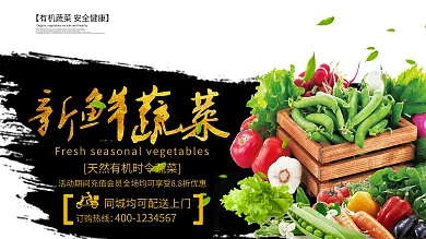 有机农产品新鲜蔬菜海报有机蔬菜