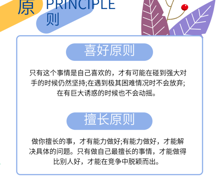 擅長原則干貨分享信息長圖
