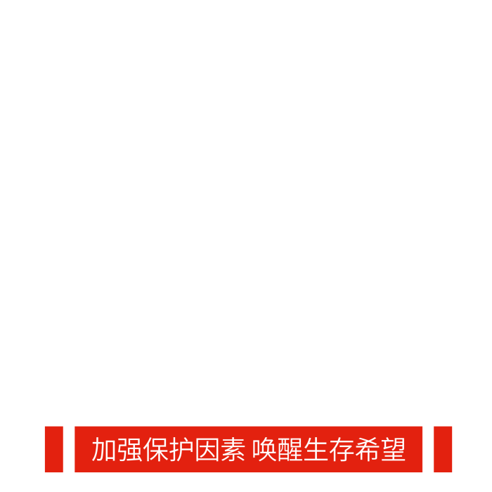 愛心多點日關(guān)心愛護公益展架易拉寶
