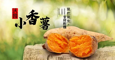 鲜红薯紫薯富晒紫玫瑰花水果皇番薯地瓜芋头