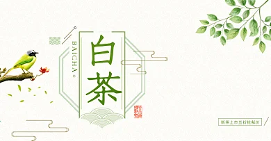 绿色文艺小清新茶叶白茶树叶电商banner淘宝海报