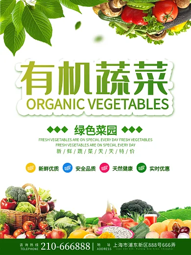 有机蔬菜绿色菜园