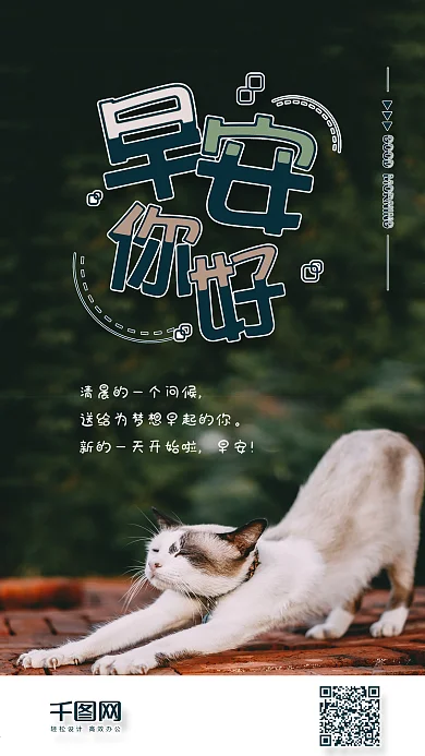 早安你好简约猫咪手机组图