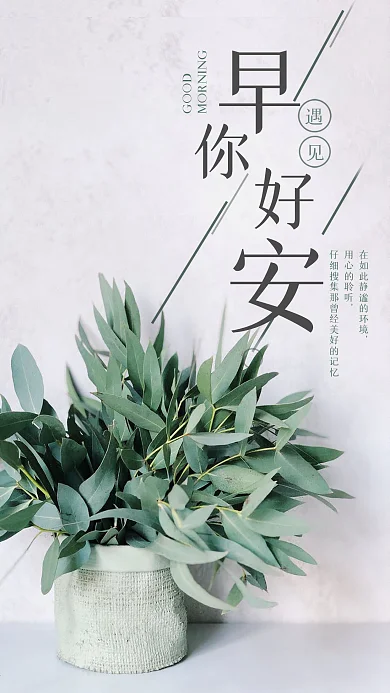 早安你好手机配图日签