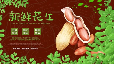 花生园有机花生采摘广告展板