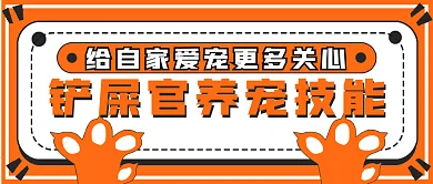 简约铲屎官养宠技能