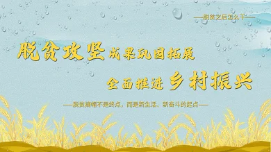 脱贫攻坚成果巩固全面推进乡村振兴党建展板