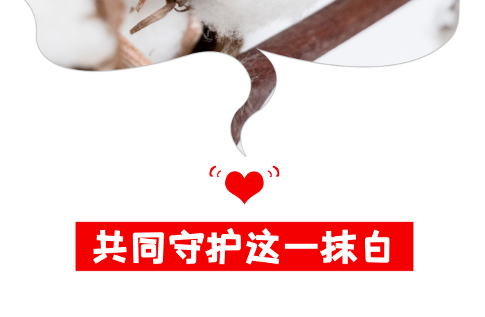 白色植物支持新疆棉花公益海报

