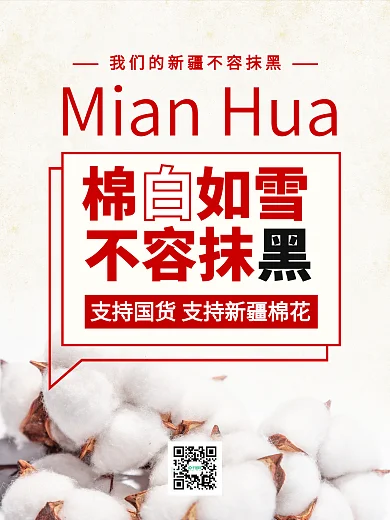 简约风我们的新疆不容抹黑海报