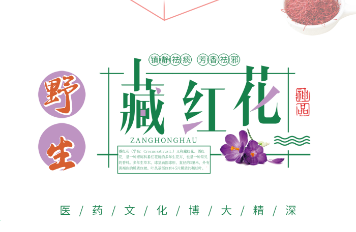 番紅花學(xué)名中藥養(yǎng)生野生藏紅花海報(bào)
