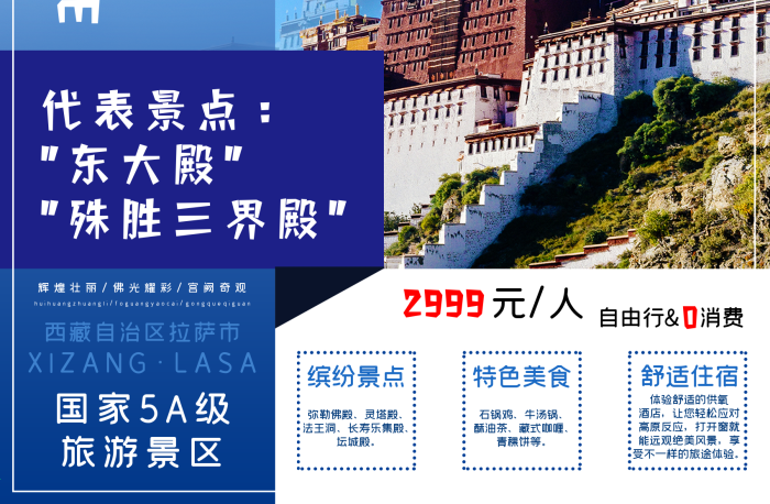代表景點(diǎn)西藏之拉薩布達(dá)拉宮旅游海報(bào)
