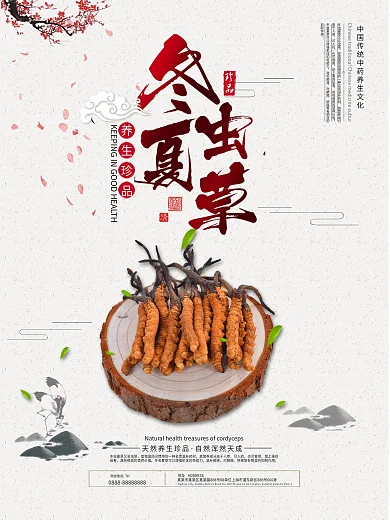 中国风中药文化冬虫夏草补品海报