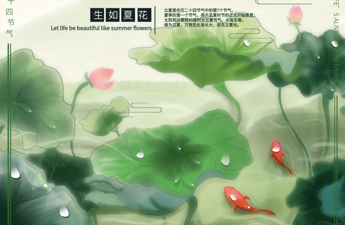 傳統(tǒng)節(jié)氣中國風(fēng)立夏荷葉荷花魚
