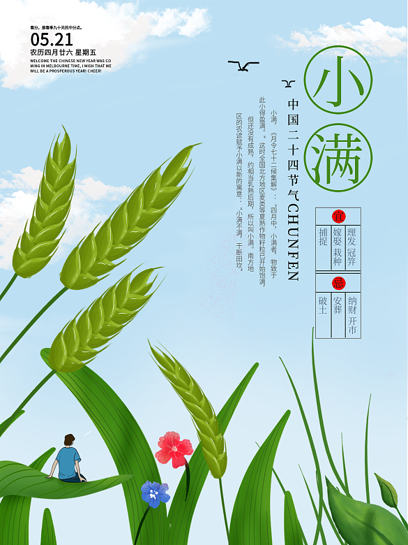 小滿小滿節(jié)氣小滿海報(bào)小麥
