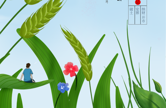 春分四月中小滿節(jié)氣海報(bào)小麥
