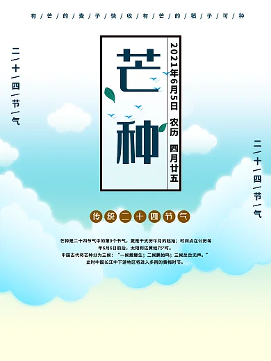 时尚大气芒种海报