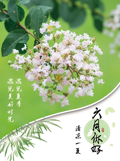 2020年你好六月遇见夏天海报招贴