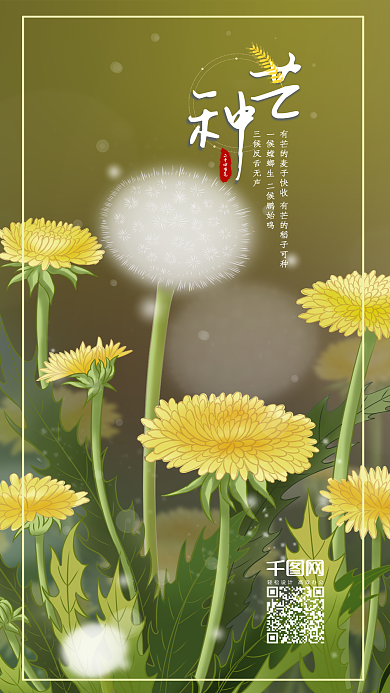 原創(chuàng)手繪插畫(huà)二十四節(jié)氣芒種之田野的蒲公英