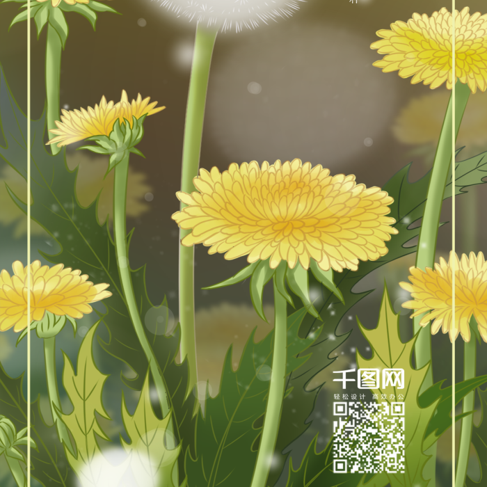 麥子快收芒種之田野的蒲公英
