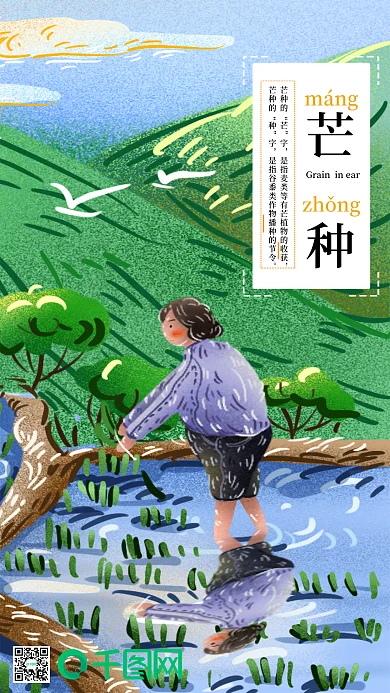 芒种节气之农忙时节田间辛勤种田种稻的农民