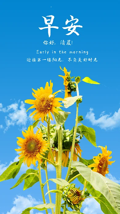 新媒体用图日签心情早安你好手机海报