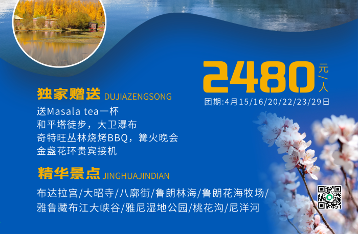 送一杯大衛(wèi)瀑布雅魯藏布江旅游促銷海報
