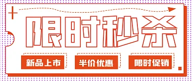 简约限时秒杀活动