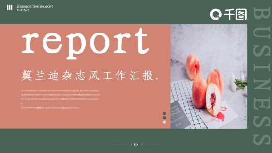 莫蘭迪雜志風文藝工作匯報PPT模板
