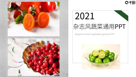 雜志風(fēng)蔬菜行業(yè)工作總結(jié)通用PPT