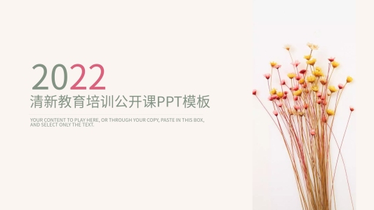 簡約清新教育培訓(xùn)教學(xué)設(shè)計(jì)公開課PPT模板