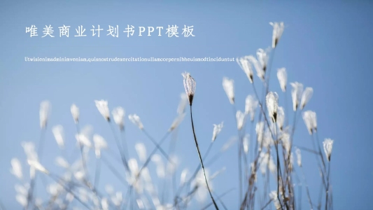 唯美商業(yè)計劃書PPT模板