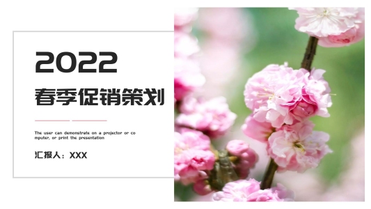 簡約春季促銷活動(dòng)策劃PPT模板
