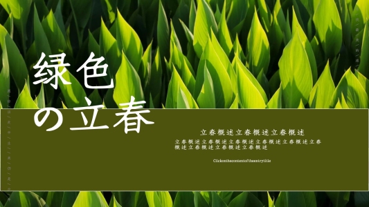 綠色簡約立春活動策劃PPT模板