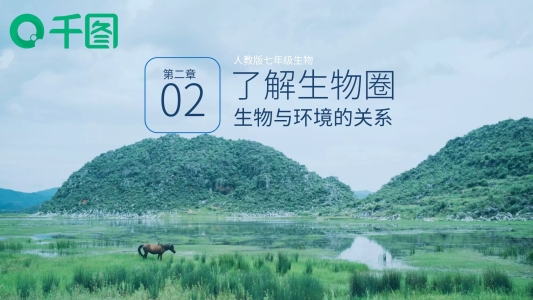 新人教版生物七年級生物與環(huán)境的關(guān)系