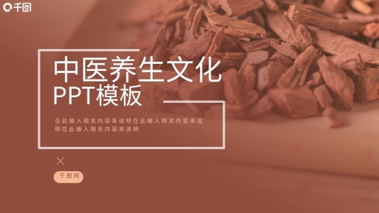 典雅中醫(yī)養(yǎng)生文化宣傳PPT模板