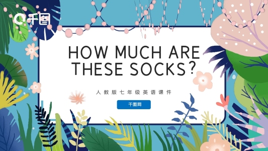 英語Howmuchsocks課件