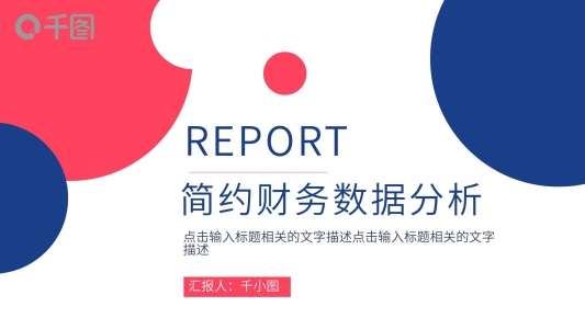 簡約風(fēng)財(cái)務(wù)數(shù)據(jù)分析報(bào)告